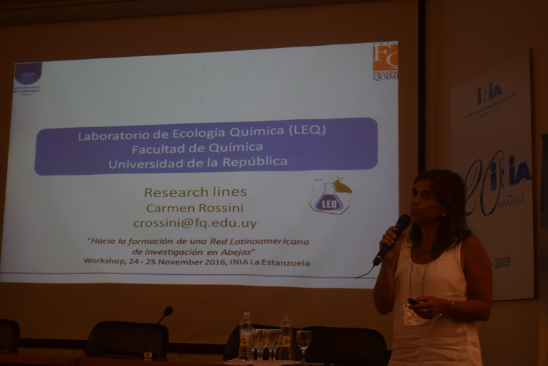 Solatina Colonia Uruguay 2016 Sociedad Latinoamericana Investigación Abejas