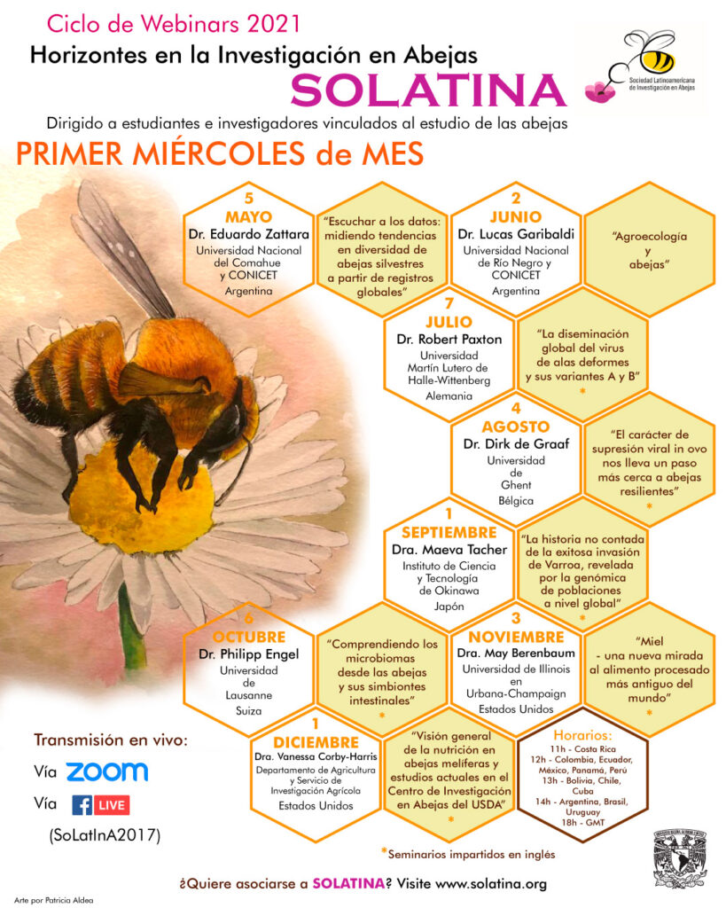 abejas solatina apicultura miel