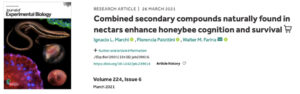 Marchi nectar honey bee 2021