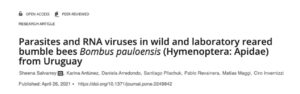 Parasites RNA viruses bumble bees 2021 Salvarrey Uruguay