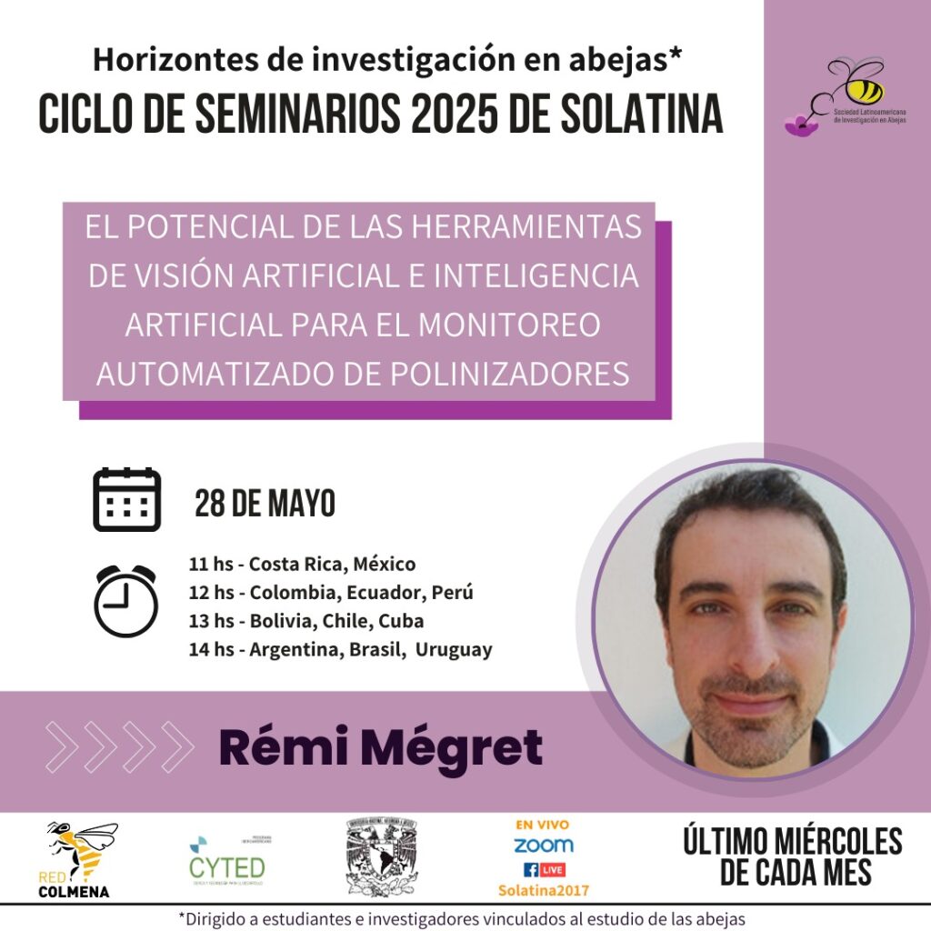 Rémi Mégret herramientas de visión artificial inteligencia artificial monitoreo automatizado polinizadores solatina abejas 2025